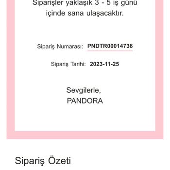 Pandora Mücevher Siparişin Elime Ulaşmaması
