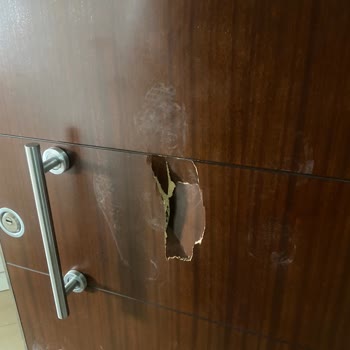 MNG Kargo Görevlisi Evin Kapısını Tekmeleyerek Kırdı Ve Saldırdı