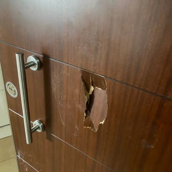 MNG Kargo Görevlisi Evin Kapısını Tekmeleyerek Kırdı Ve Saldırdı