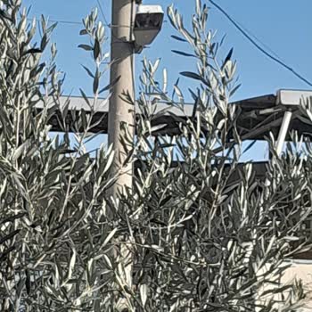 GDZ Elektrik Dağıtım Sokak Aydınlatma Arızası Giderilmedi