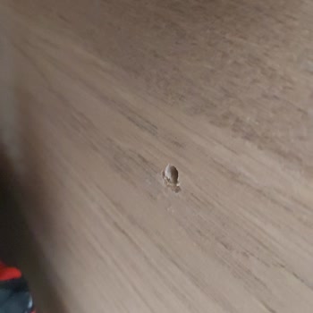 Almila Mobilya Kalitesiz Kırık Ürünler