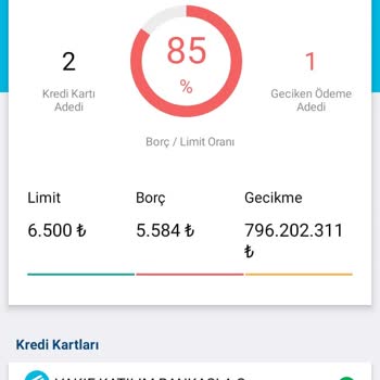 Vakıf Katılım Bankası Hatalı Gecikme İle 796.202.311 Lira Borçlu