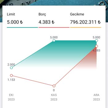 Vakıf Katılım Bankası Hatalı Gecikme İle 796.202.311 Lira Borçlu