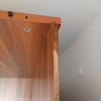 Denizli Alim Nakliyat Şehirlerarası Nakliyat Taşımacılık