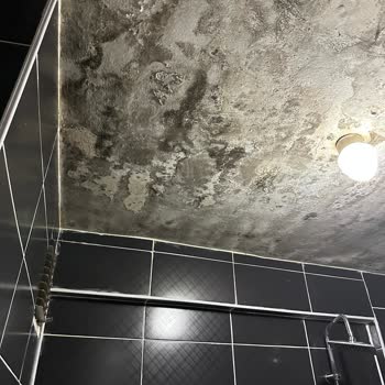 Diyarbakır Büyükşehir Belediyesi Daireme Üst Kattan Su Akıyor