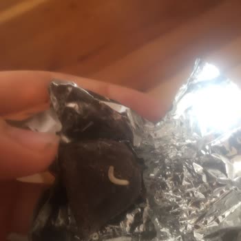 Migros Ürünün İçinden Kurt Çıktı