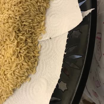 Filiz Makarna Paketli Gıdalarda Beklenmedik Misafirler