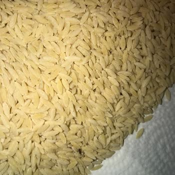 Filiz Makarna Paketli Gıdalarda Beklenmedik Misafirler