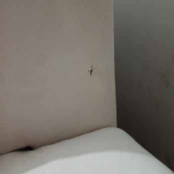 Bellona'dan Mobilya Almak Pişmanlıktır
