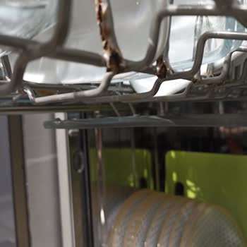 Samsung Bulaşık Mak Sepet Çürümesi