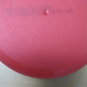 Fiskobirlik Fiskorella Kötü Koku Ve Tat