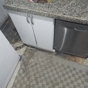 Eureko Sigorta Evimi Su Bastı