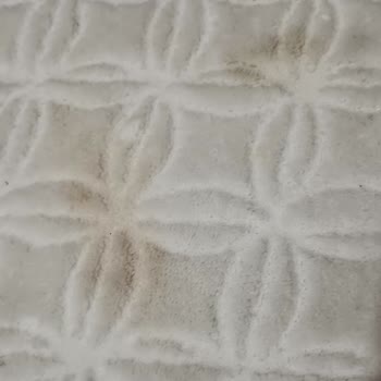 Emel Halı Yıkama (Başiskele) Halılarım Leke İçinde Geldi