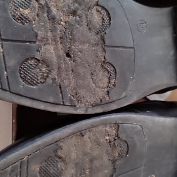 Polaris Sahte Ve Kalitesi Yok