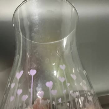 Bosch Bulaşık Makinesi Temizlik Problemi