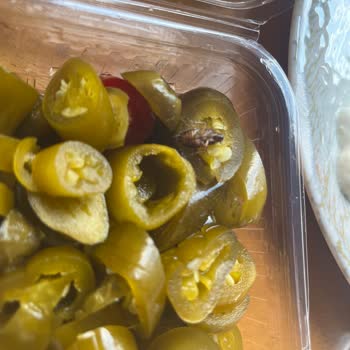 Cezayir Usta Yemekte Hamam Böceği!