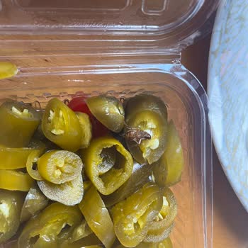 Cezayir Usta Yemekte Hamam Böceği!