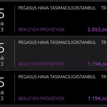 Pegasus Bilet Değişikliğinde Sorun Çıkartıp Müşteri Mağdur Ediyor
