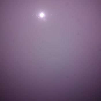 Altus Buzdolabının Kapının Lekelenmesi