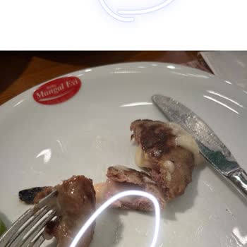 Bolu Mangal Keyfi Köftenin İçinden Kıl Çıktı