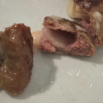 Bolu Mangal Keyfi Köftenin İçinden Kıl Çıktı