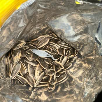 Gold Harvest Kuruyemiş Ambalaj Sorunu Nedeniyle Tüketilemeyen Gıda Ürünü Şikayeti