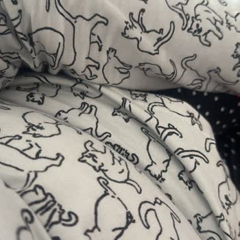 Suwenin Yapmış Olduğu Saygısızlığı