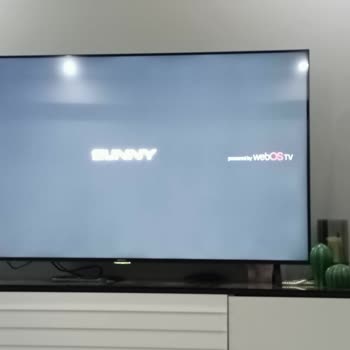 Sunny Webos TV Servis Şikayeti