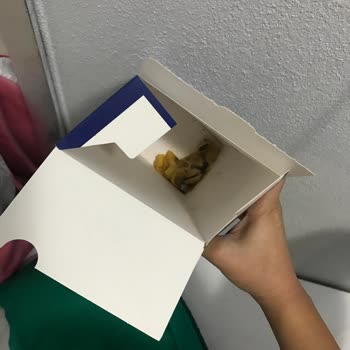 Essen Marketten Aldığım Barilla Makarnada Problem!