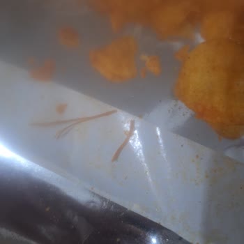 Lays Yabancı Cisim Çıktı!