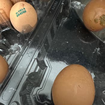 Harras Marka Organik Yumurta Kurtlu Çıktı