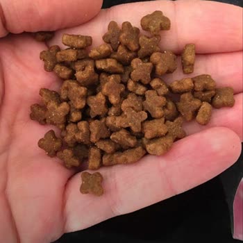 VanCat Market Vancatmarket.com'dan Aldığım Mama Sahte Çıktı