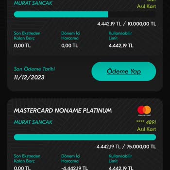Turkiye Finans Paraya El Koydu