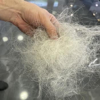 Halit Can Hair Sytle Şirinevler Saç Kaynak Felaketi