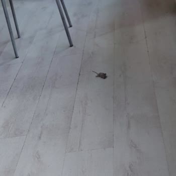 Milli Eğitim Bakanlığı (MEB) Okuldaki Bazı Dikkat Edilmeyen Sorunlar