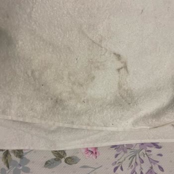 Madame Coco Geç Ve Kirli Gelen Sipariş