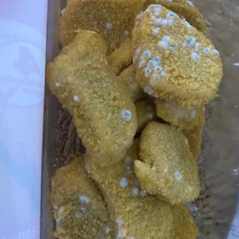 Lezita Küflü Nugget Çıktı