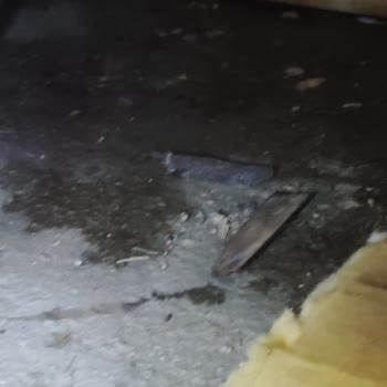 Evin İçini Su Basıyor Su TOKİ Neredesin