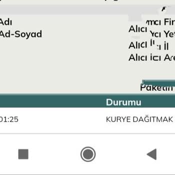UPS Türkiye Kargom Ortada Yok