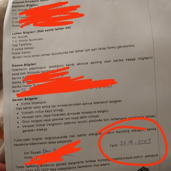 Ahe Cayma Bedeli Ödenmemesi