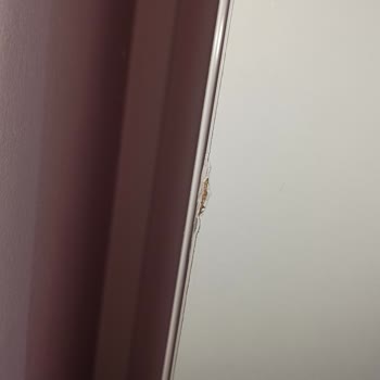 Bellona Teslimat Sorunu Ve Giderilemeyen Hasarlı Ürünler