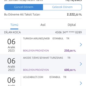 THY Evcil Hayvan İçin Fazla Ücret Alımı