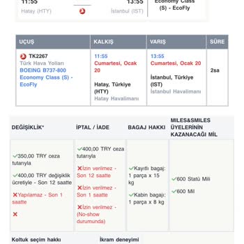 THY Evcil Hayvan İçin Fazla Ücret Alımı