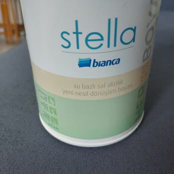 Bianca Boya Sonrası Soyulması Nedeni!