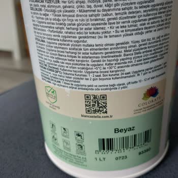 Bianca Boya Sonrası Soyulması Nedeni!