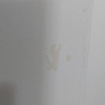 Bianca Boya Sonrası Soyulması Nedeni!