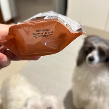 Reflexmama Semi Moist Köpek Ödül Maması Bayat