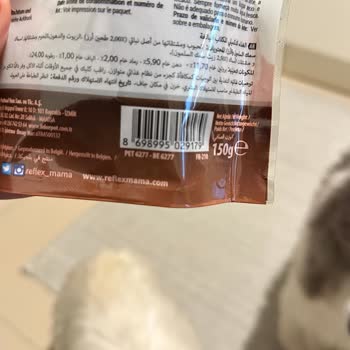 Reflexmama Semi Moist Köpek Ödül Maması Bayat