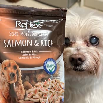 Reflexmama Semi Moist Köpek Ödül Maması Bayat