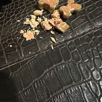 Reflexmama Semi Moist Köpek Ödül Maması Bayat